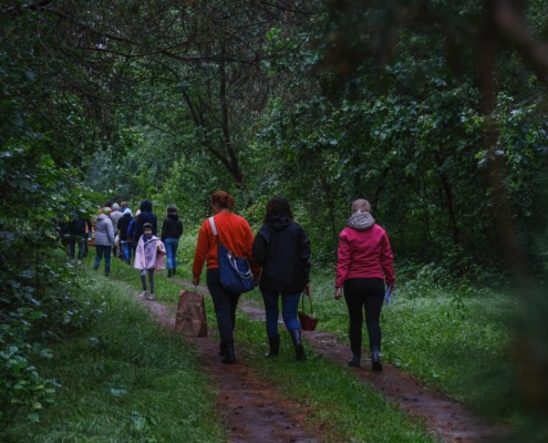 Grupa dorosłych spaceruje po ścieżce w lesie, szukając ziół. Wszyscy są obróceni tyłem do obiektywu. Na pierwszym planie widać trzy kobiety - od lewej pani z papierową torbą w dłoni i niebieską torbą na ramię ubrana jest w ciemne długie spodnie oraz pomarańczową bluzę. Obok niej idzie pani w ciemnych długich włosach, czarnej kurtce i niebieskich spodniach. Ma na sobie czarne kalosze i niesie wiklinowy, brązowy koszyk. Po prawej idzie pani w blond włosach i w kucyku. Ma na sobie różową kurtkę i ciemne spodnie. Również ma kalosze a w dłoni trzyma zielnik. Na drugim planie w oddali widać resztę grupy.